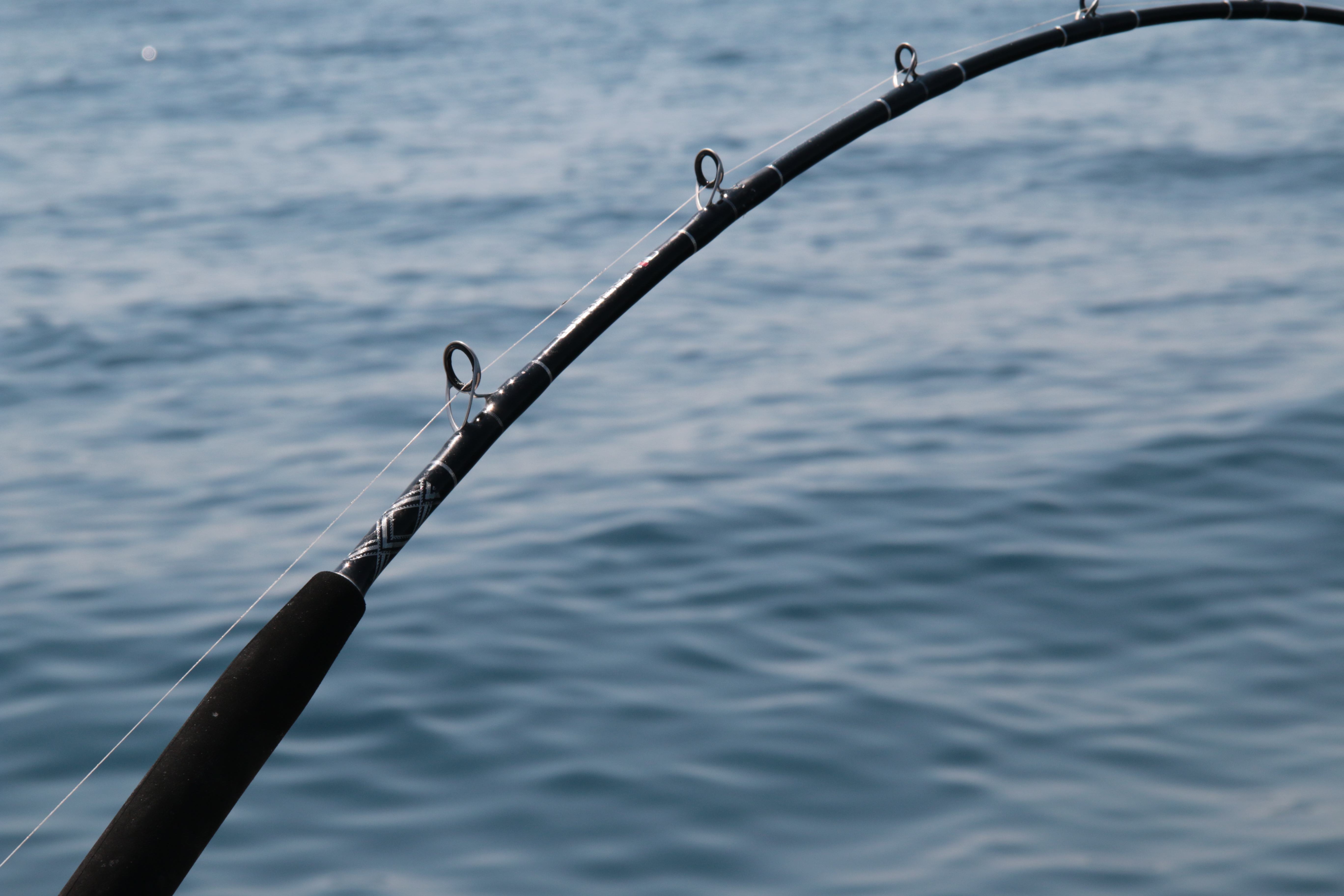 Piano di intervento per gestione emergenza da SARS-Cov-2 (Covid-19)